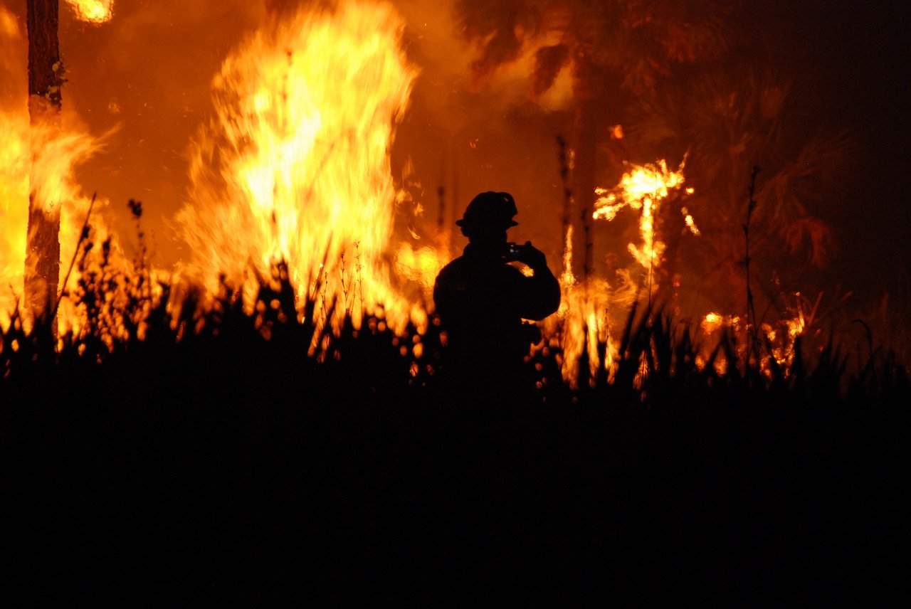 feu de broussailles