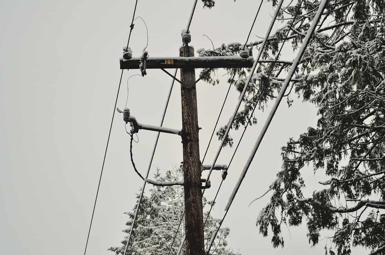 elagage arbre electricité