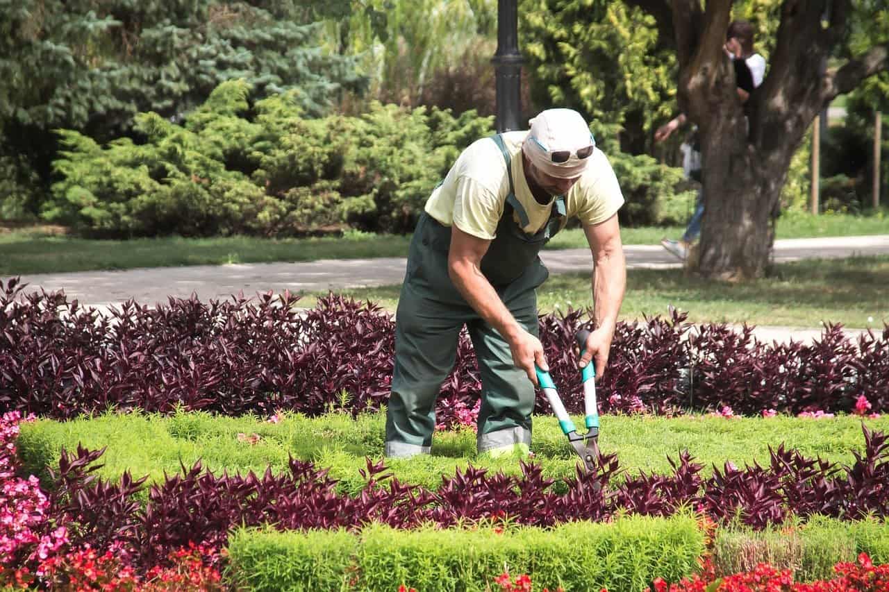 prix entretien jardin