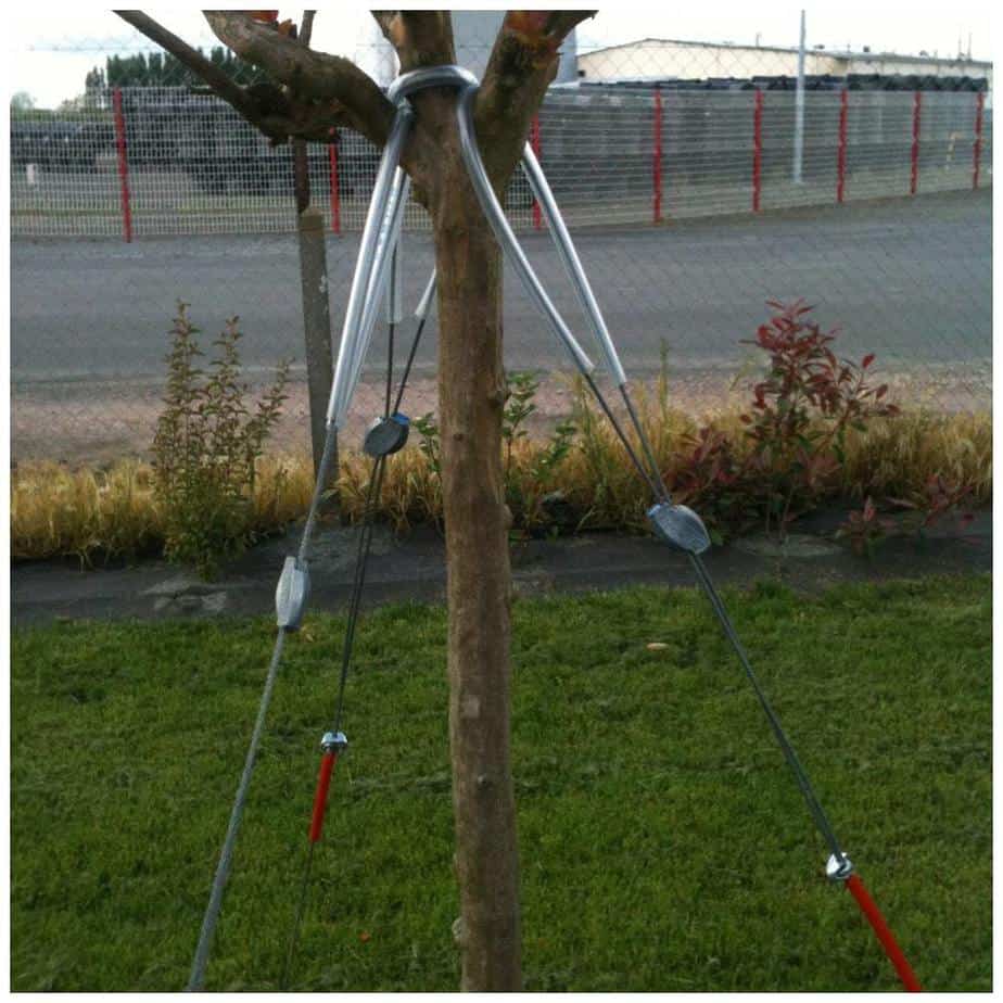 définition haubaner un arbre définition haubaner un arbre