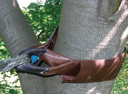 gaine haubanage arbre gaine haubanage arbre