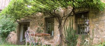 exemple de vigne dans vieille maison exemple de vigne dans vieille maison