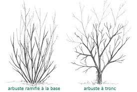 recepage recepage