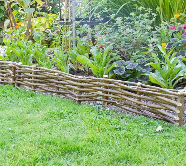 bordure jardin noisetier