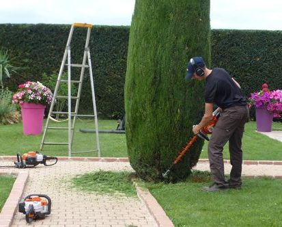 tailler le cyprès