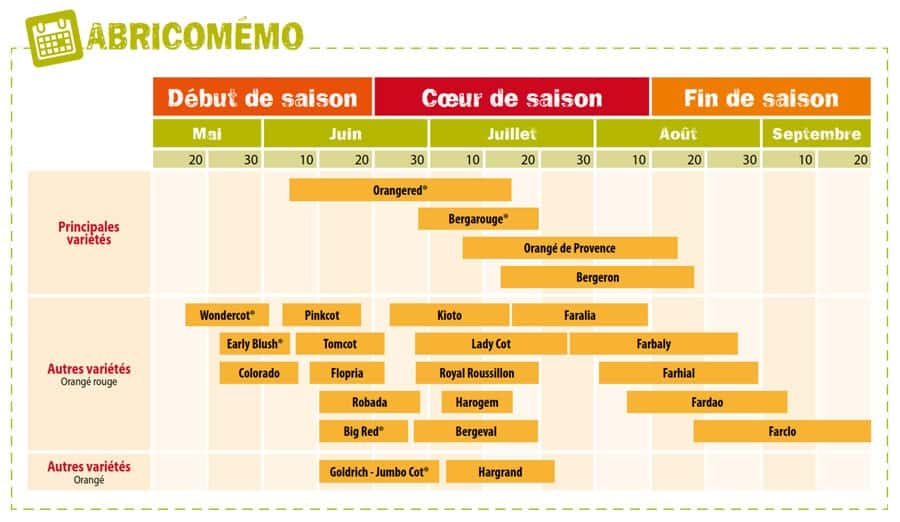 calendrier abricotier calendrier abricotier