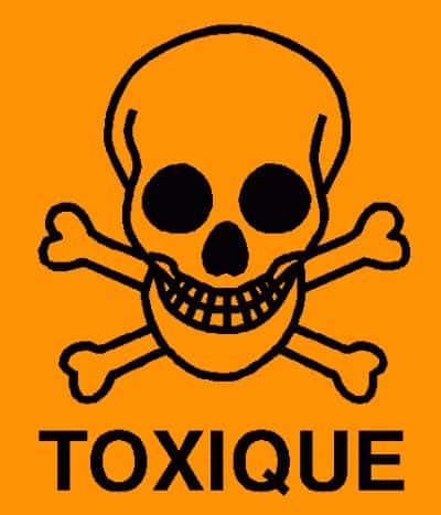 laurier toxique laurier toxique