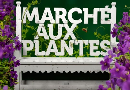 marché aux plantes