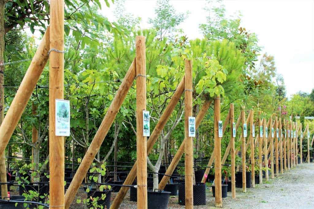 Jardineries Jardineries
