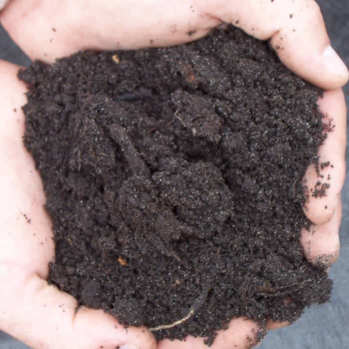 terre loam terre loam
