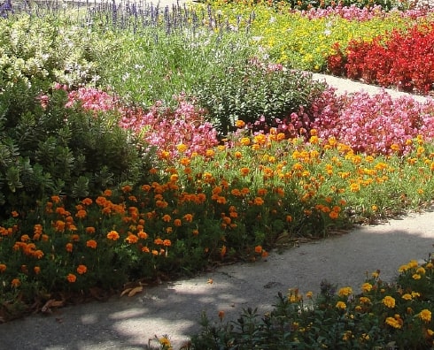 exposition jardin potager