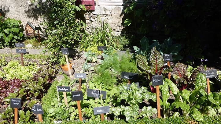 mini jardin de curé mini jardin de curé