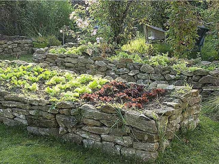 jardin de curé jardin de curé