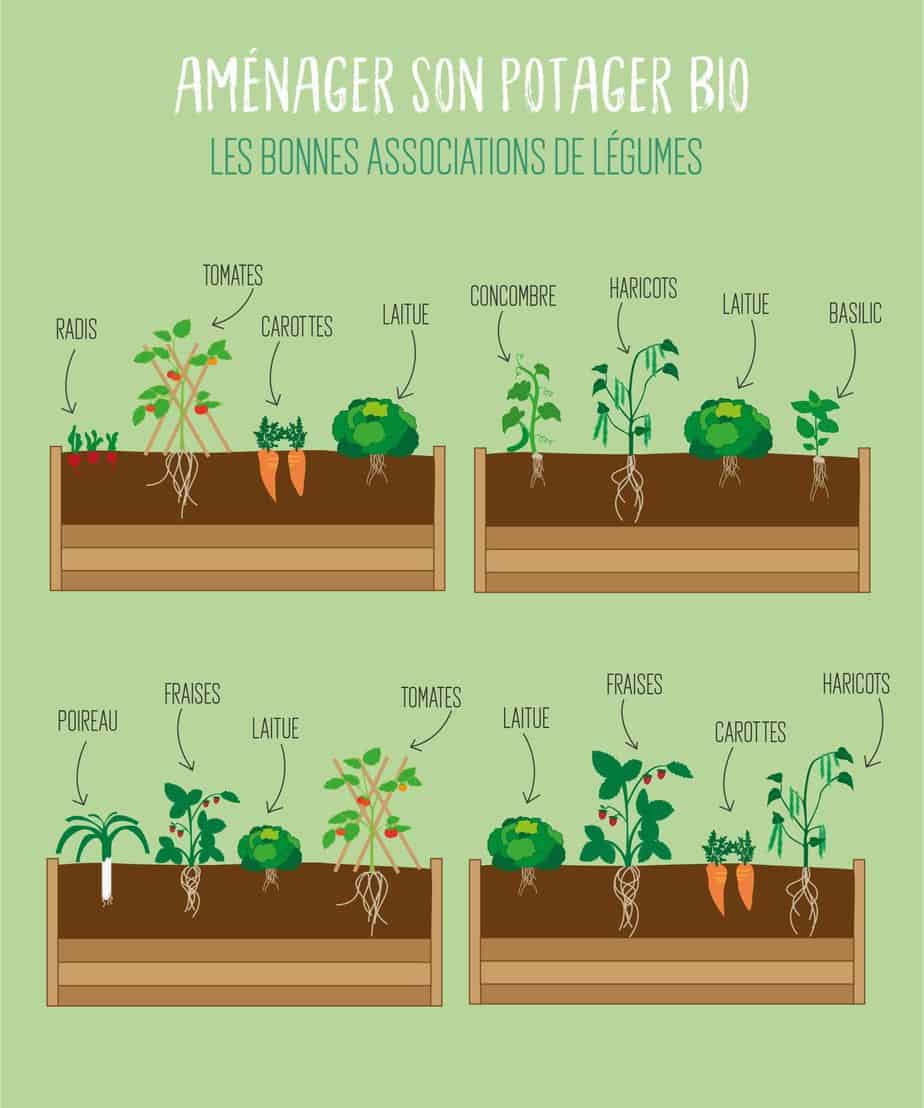 plantes jardin écologique plantes jardin écologique