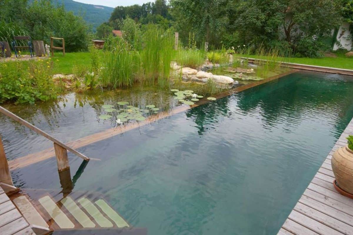 piscine naturelle piscine naturelle
