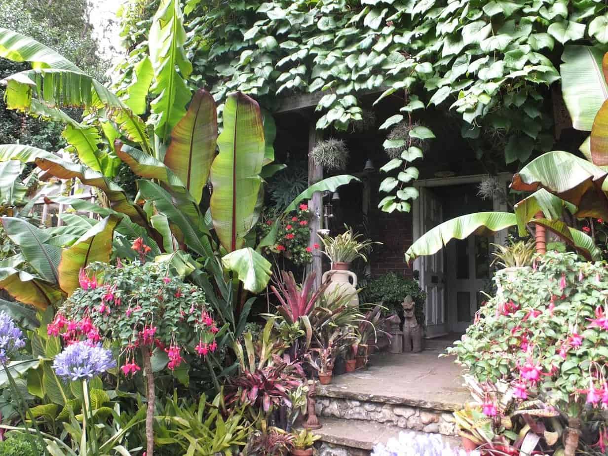 jardin exotique avec fleurs jardin exotique avec fleurs