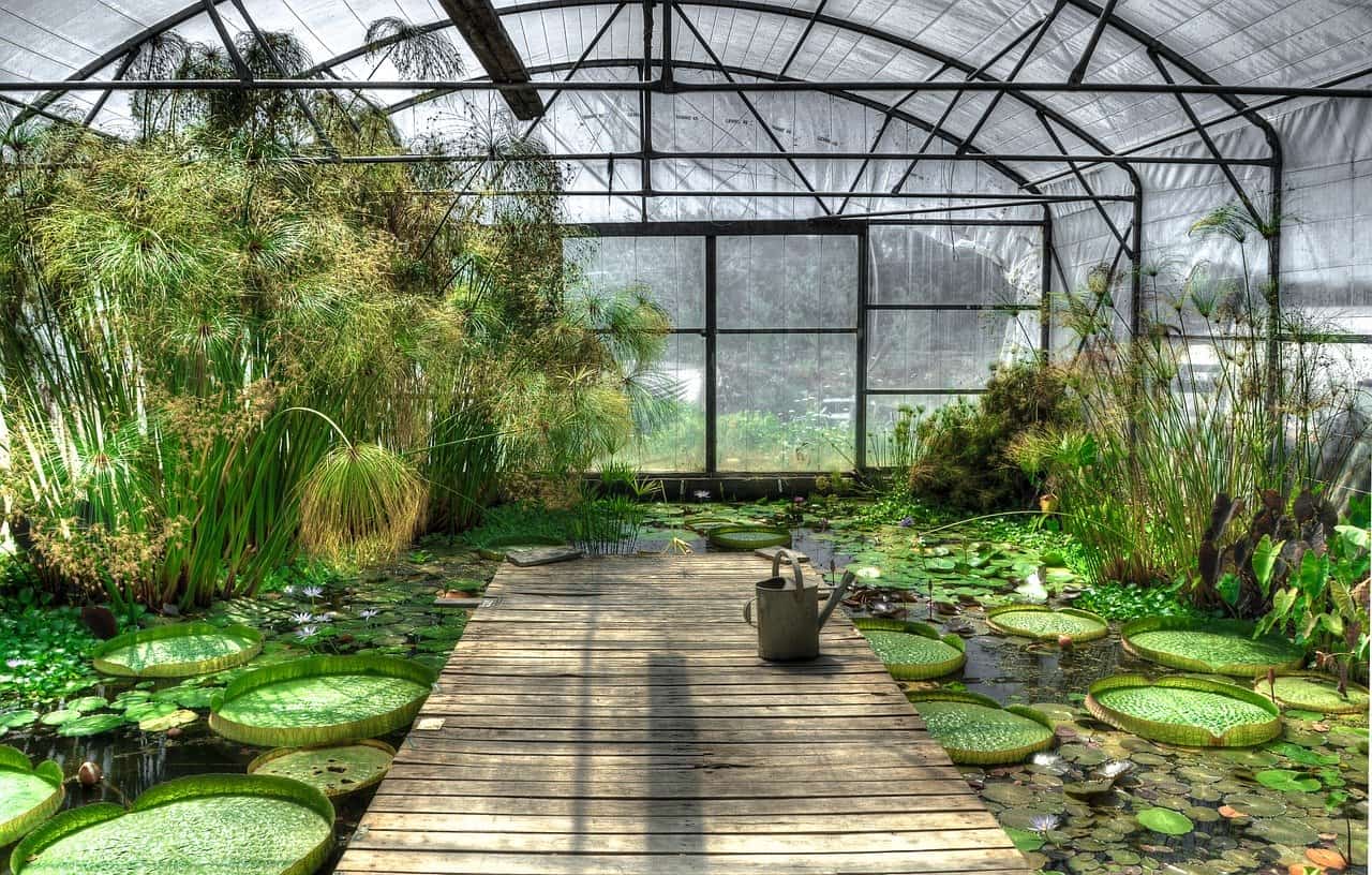 jardin exotique asiatique jardin exotique asiatique