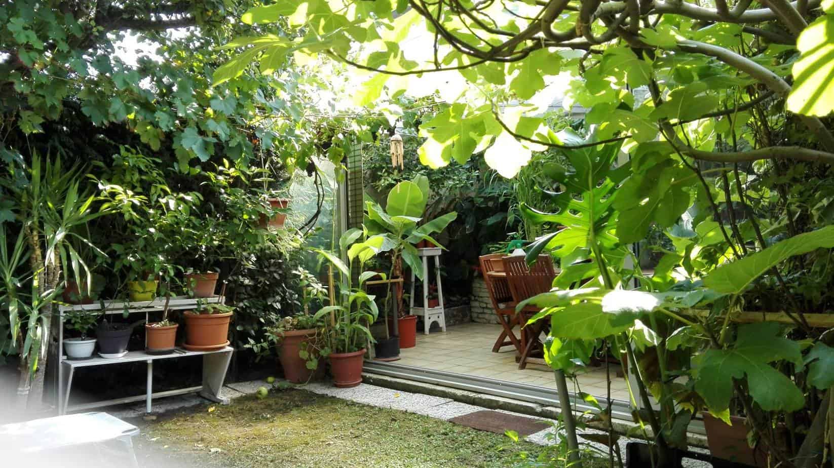 PRIX DE LA RÉALISATION D’UN JARDIN EXOTIQUE PRIX DE LA RÉALISATION D’UN JARDIN EXOTIQUE