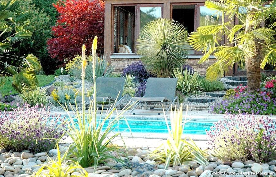 modele jardin exotique modele jardin exotique