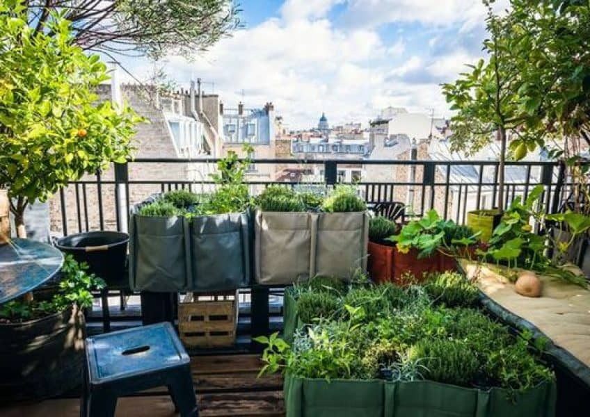 jardin terrasse jardin terrasse