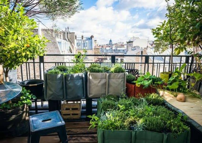 Prix de la réalisation d’un jardin vertical