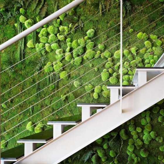 mur vegetal mur vegetal