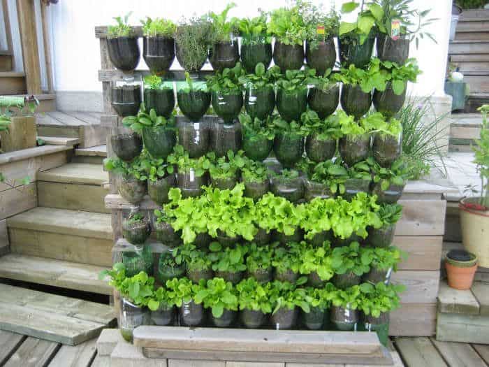 potager suspendu bouteilles potager suspendu bouteilles