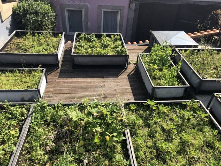 jardinage sur toit jardinage sur toit