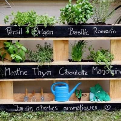 mur vegetal palette mur vegetal palette