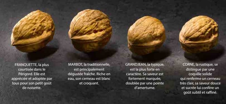 varietes noix varietes noix