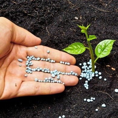 traiter le jardin traiter le jardin