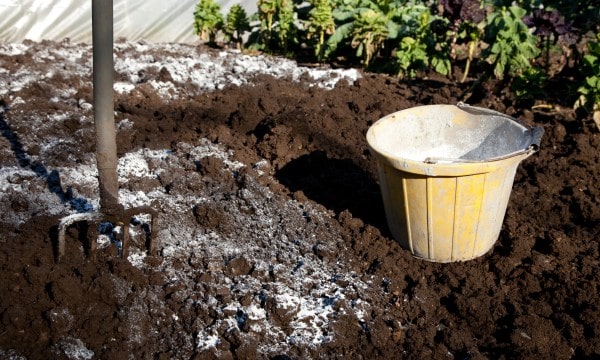 chaulage jardin chaulage jardin