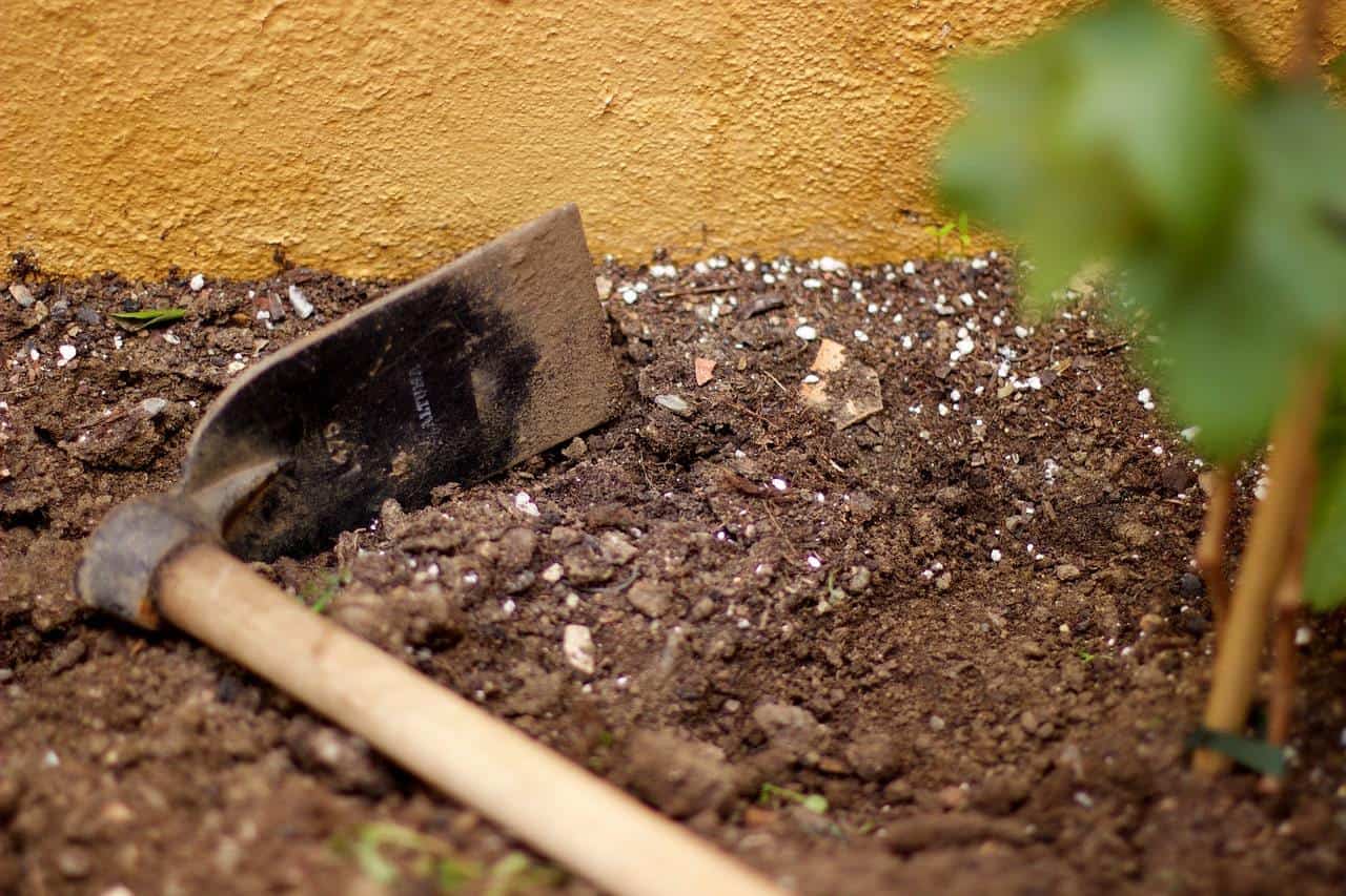 chaulage pour potager