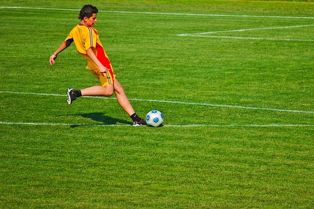 gazon sportif gazon sportif