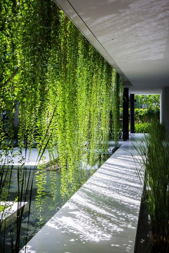 plantes de jardin contemporain plantes de jardin contemporain