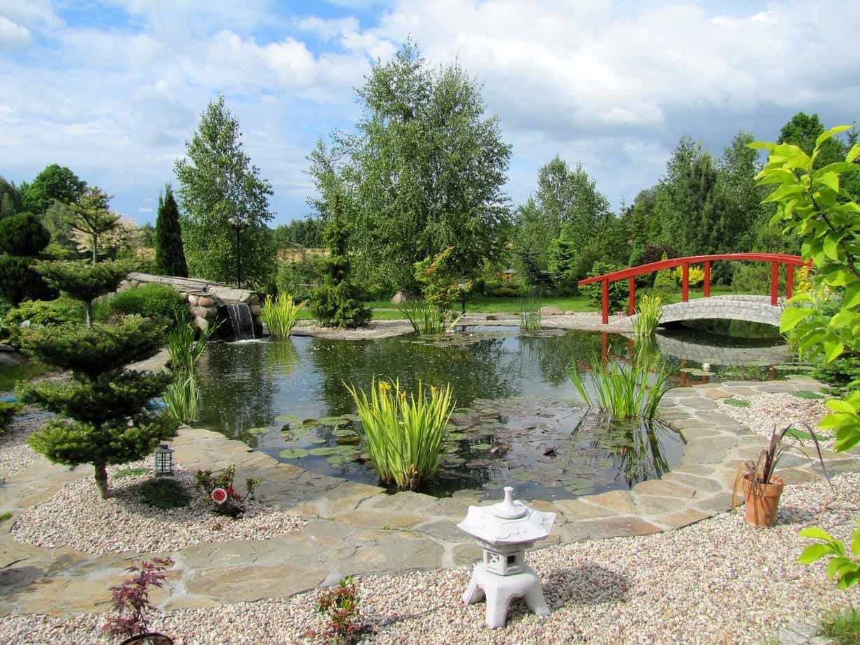 bassin jardin japonais bassin jardin japonais