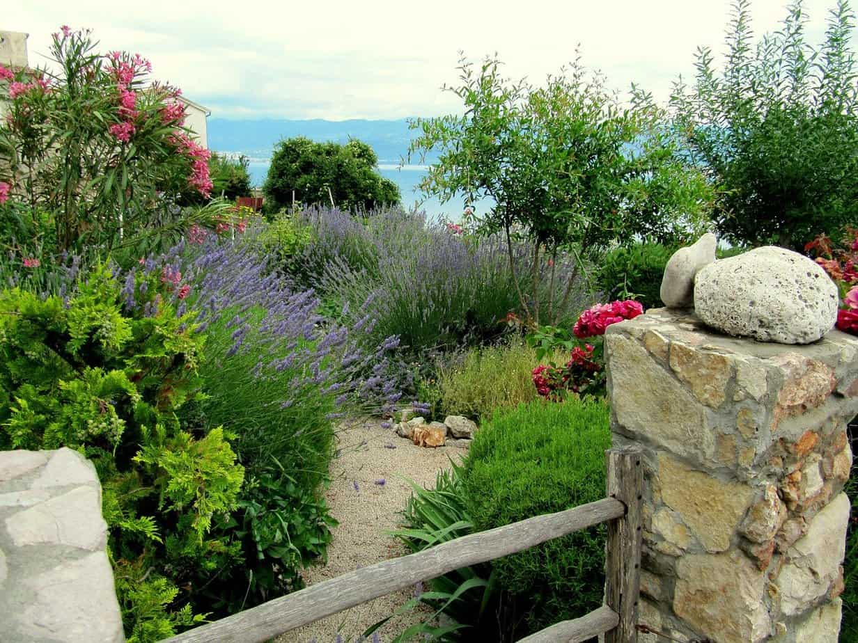 plantes jardin mediterraneen plantes jardin mediterraneen