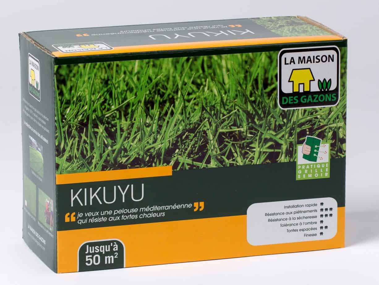 Gazon kikuyu prix, avis et entretien (Guide 2024)
