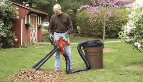 aspirateur à feuilles