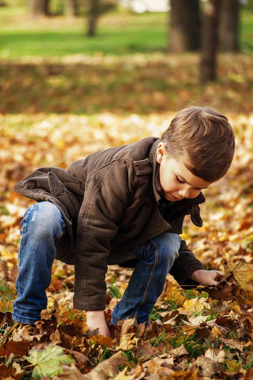 ramasser les feuilles ramasser les feuilles