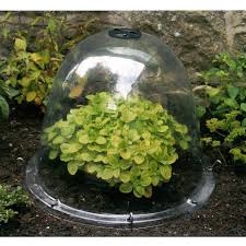 cloche serre cloche serre