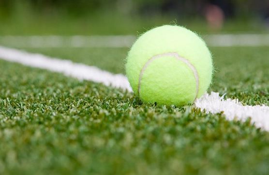 gazon wimbledon ray grass gazon wimbledon ray grass