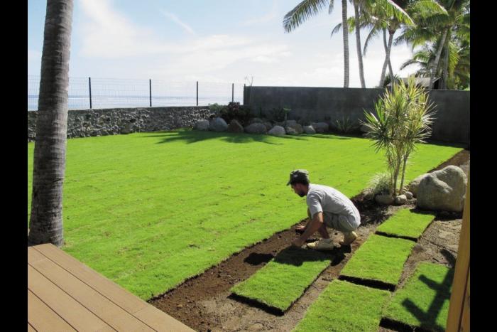 rouleau de zoysia