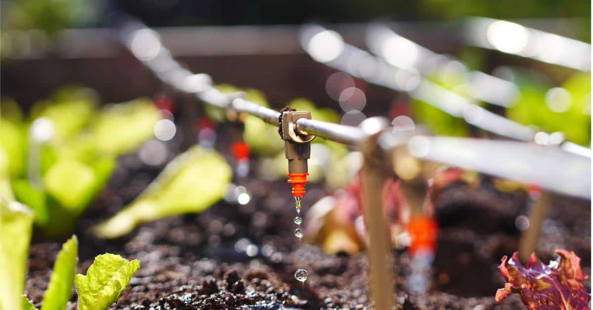 Installer un arrosage goutte-à-goutte Gardena sur une terrasse - Truffaut 