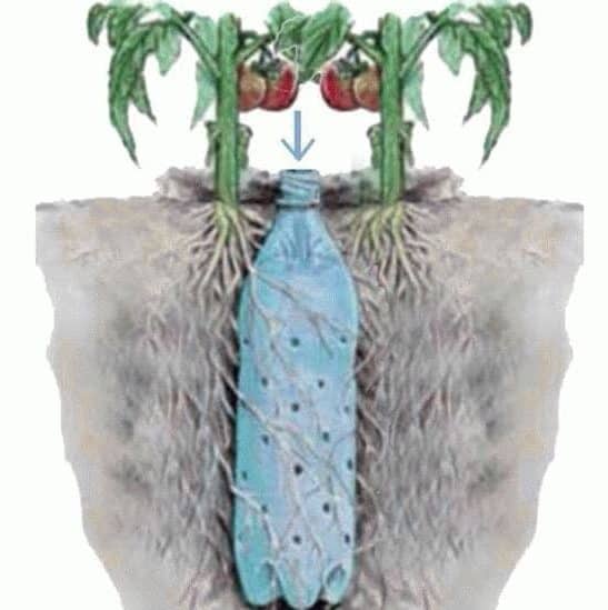 arrosage goutte à goutte bouteille arrosage goutte à goutte bouteille