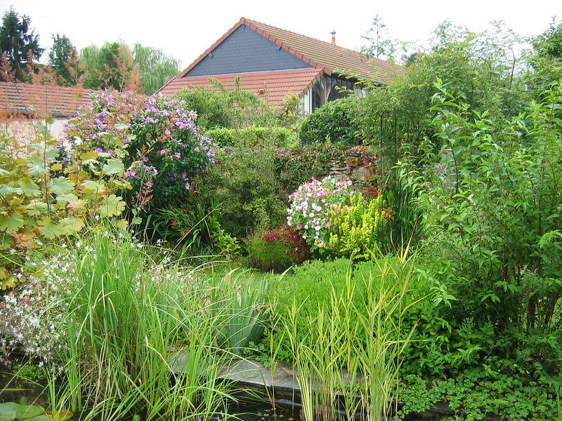 exemple de bassin de jardin avec fleur exemple de bassin de jardin avec fleur