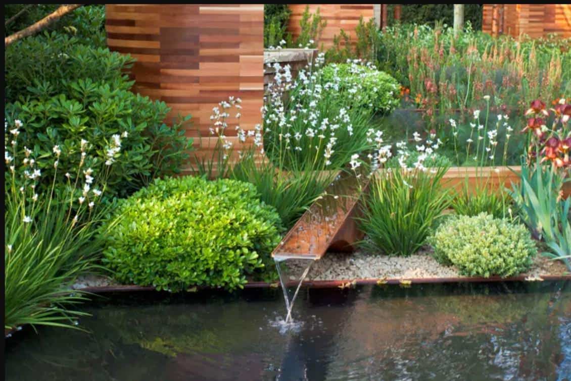 Construire et aménager un bassin de jardin : guide complet