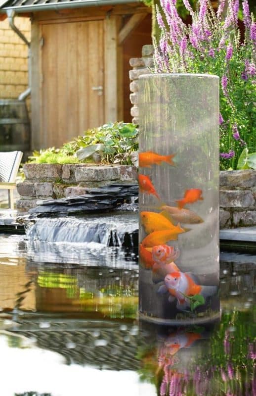 bassin à poissons bassin à poissons