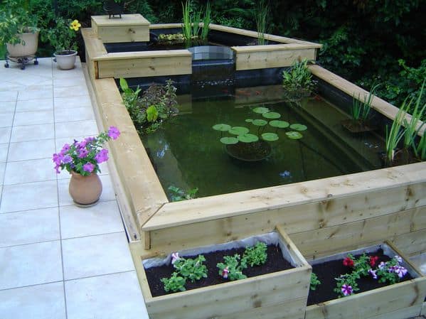 Construire un Étang ou Bassin Extérieur au Jardin Aquatique