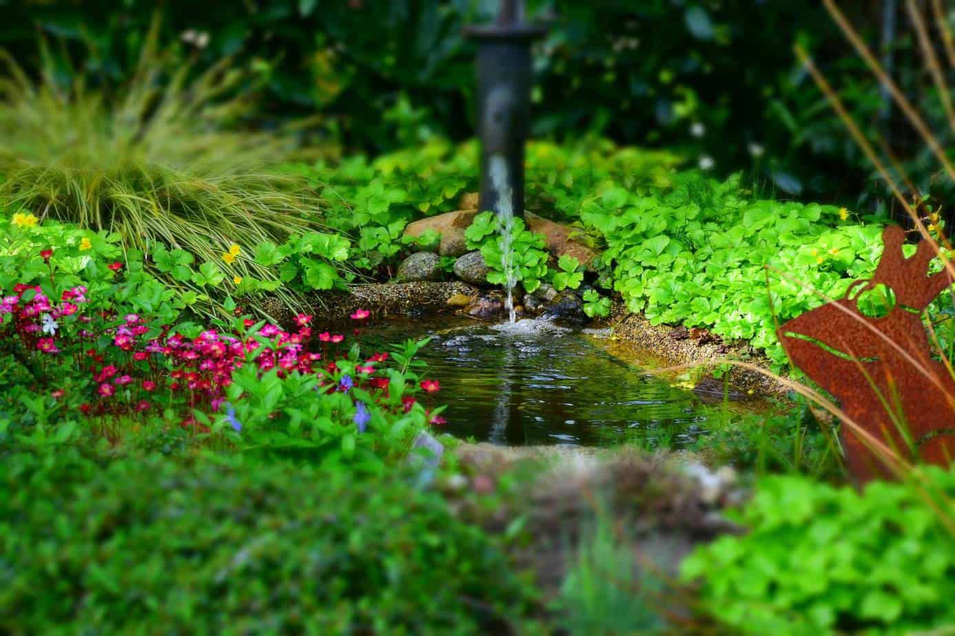 point d’eau permanent dans le jardin